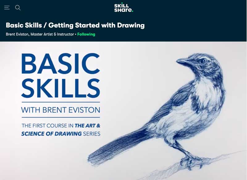 basic drawing skills skillshare